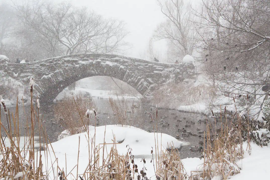 Gapstow Bridge in a snowstorm, Central Park